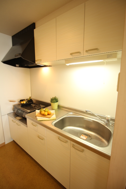 キッチン（2LDKタイプ）